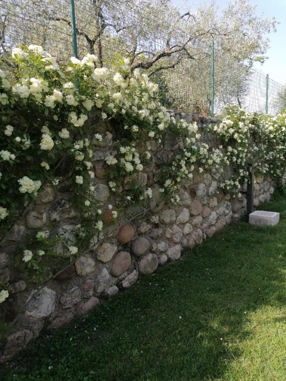 Ca Framari - Casa Vacanze Marciaga Exterior photo